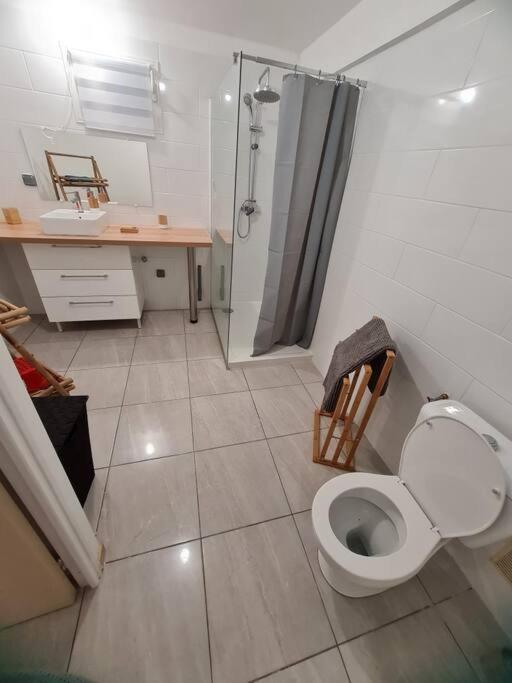 Chalet Des Laves Sainte-Rose Dış mekan fotoğraf
